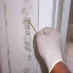 Mold Damage in Siesta Key – Remediated