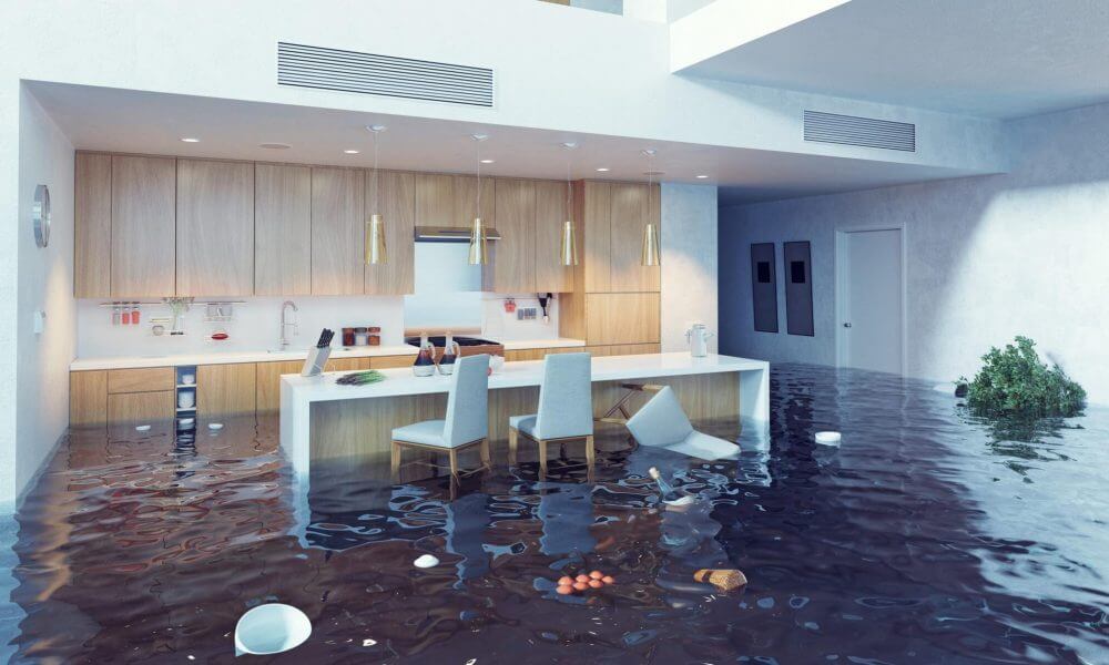 Effects Of Water Damage National Disaster Recovery